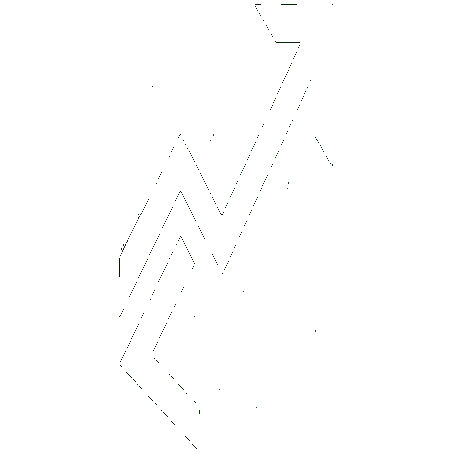 CoinWillow